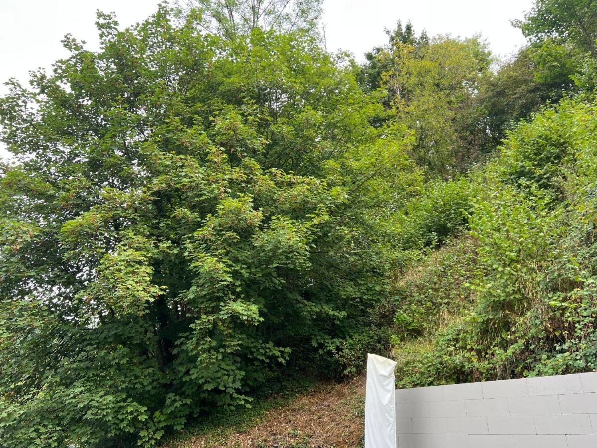 Aux Berges Du Bocq Villa Yvoir Eksteriør bilde